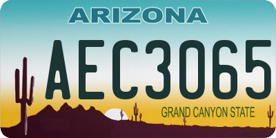 AZ license plate AEC3065