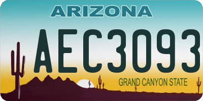 AZ license plate AEC3093