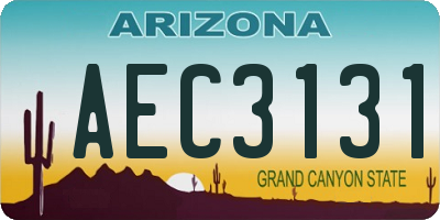 AZ license plate AEC3131