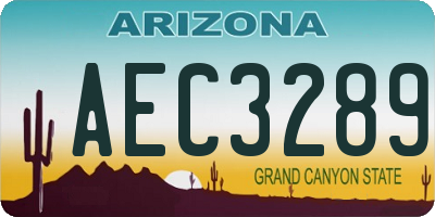 AZ license plate AEC3289