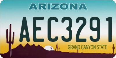AZ license plate AEC3291