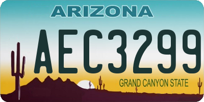 AZ license plate AEC3299