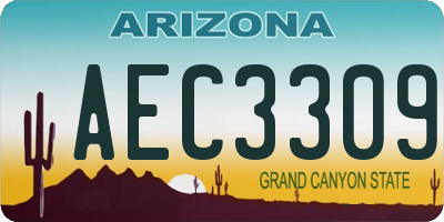 AZ license plate AEC3309
