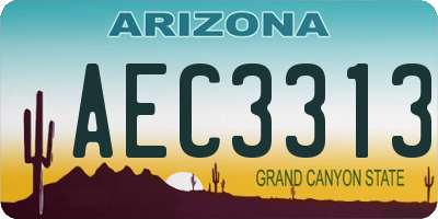 AZ license plate AEC3313