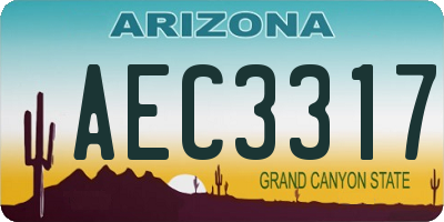 AZ license plate AEC3317
