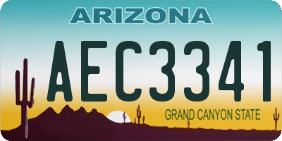 AZ license plate AEC3341