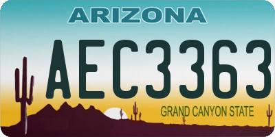 AZ license plate AEC3363