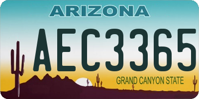 AZ license plate AEC3365