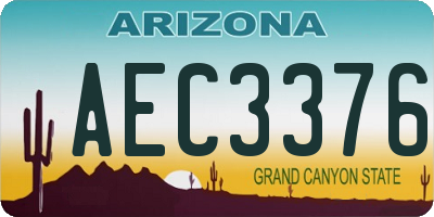 AZ license plate AEC3376