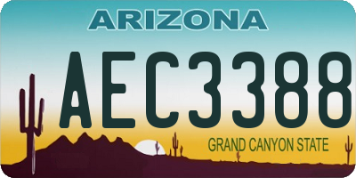 AZ license plate AEC3388