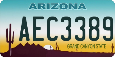AZ license plate AEC3389