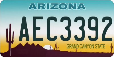 AZ license plate AEC3392