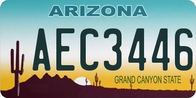 AZ license plate AEC3446