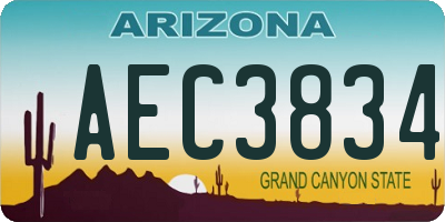 AZ license plate AEC3834