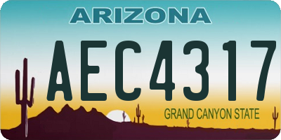 AZ license plate AEC4317