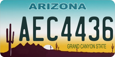 AZ license plate AEC4436