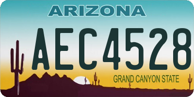 AZ license plate AEC4528