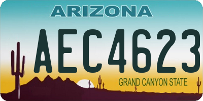 AZ license plate AEC4623
