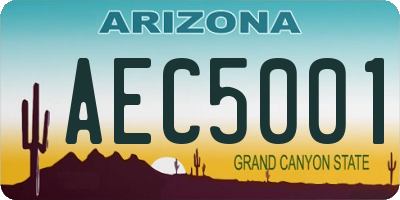 AZ license plate AEC5001