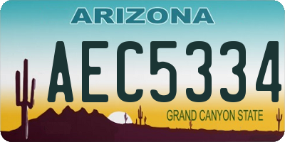 AZ license plate AEC5334