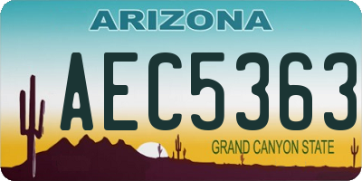 AZ license plate AEC5363
