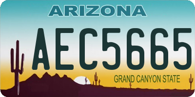 AZ license plate AEC5665
