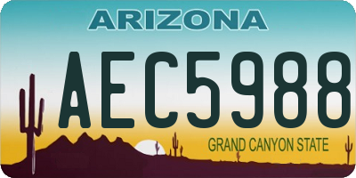 AZ license plate AEC5988