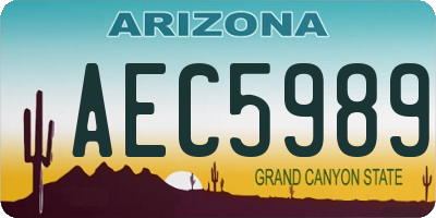 AZ license plate AEC5989