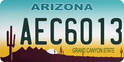 AZ license plate AEC6013