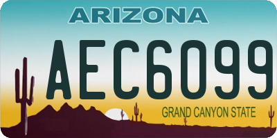 AZ license plate AEC6099