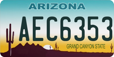 AZ license plate AEC6353