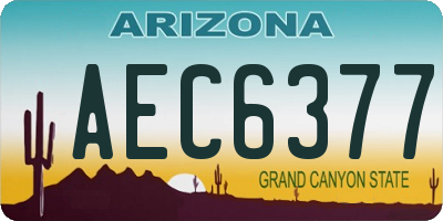 AZ license plate AEC6377