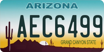 AZ license plate AEC6499