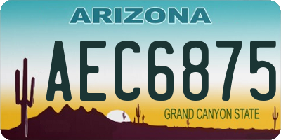 AZ license plate AEC6875
