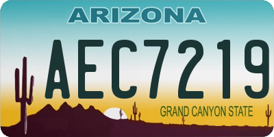 AZ license plate AEC7219