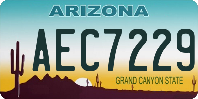 AZ license plate AEC7229