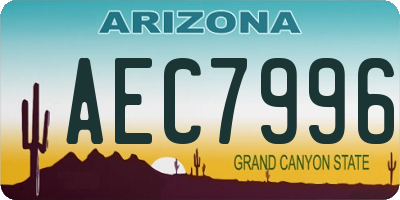 AZ license plate AEC7996