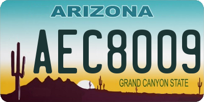 AZ license plate AEC8009