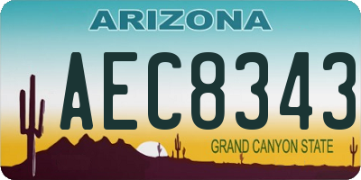 AZ license plate AEC8343