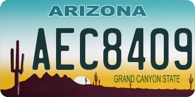 AZ license plate AEC8409