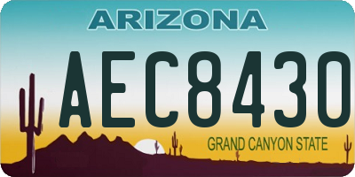 AZ license plate AEC8430