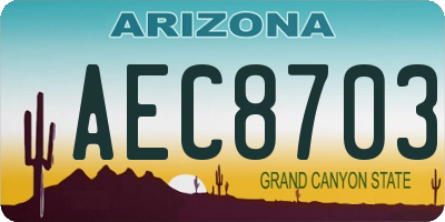 AZ license plate AEC8703