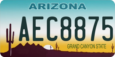 AZ license plate AEC8875