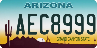 AZ license plate AEC8999
