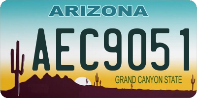 AZ license plate AEC9051