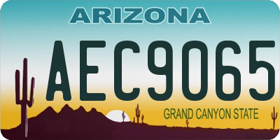 AZ license plate AEC9065