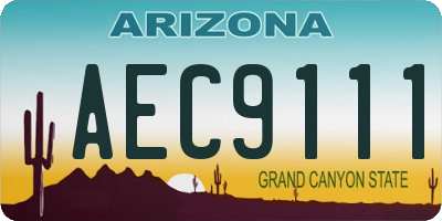 AZ license plate AEC9111