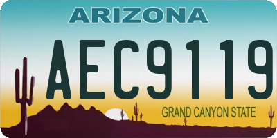 AZ license plate AEC9119