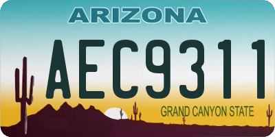 AZ license plate AEC9311