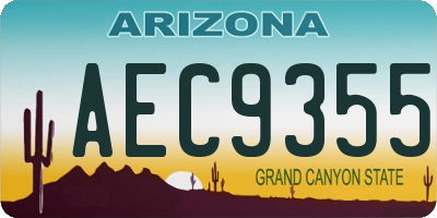 AZ license plate AEC9355